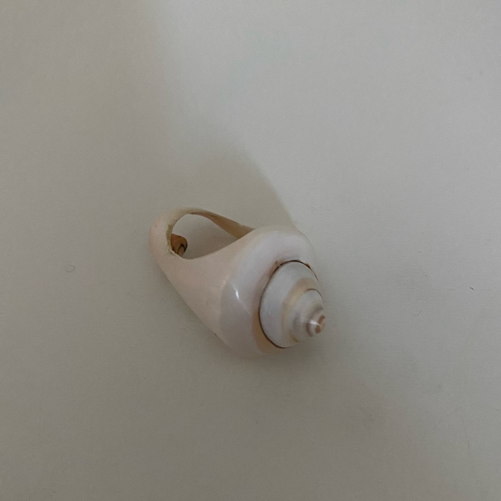 Real Shell Ring - Picture 2 of 2